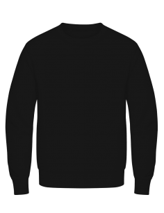 Winter sweatshirt customize